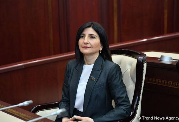 Turkey provided invaluable support to Azerbaijan in information war with Armenia - MP