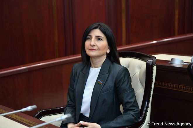 Турция оказала Азербайджану неоценимую поддержку в информационной войне с Арменией - Севиль Микаилова