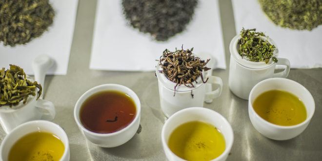 Georgian tea producing company Manna to bring new product to market