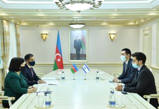 Спикер парламента Азербайджана обсудила с послом Израиля нагорно-карабахский вопрос