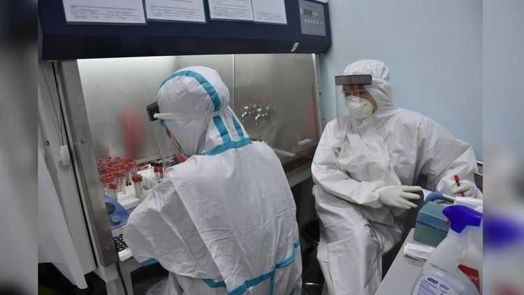 В Узбекистане выявлено еще 843 случая заражения коронавирусом