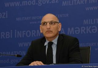 К сожалению, международное давление на Армению в связи с ее военными преступлениями недостаточное - помощник Первого вице-президента