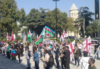 Азербайджанцы Грузии провели акцию протеста (ФОТО)