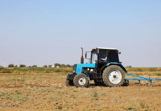 В Азербайджане фермерам выплачено свыше 120 млн манатов субсидий на посев