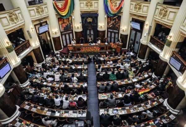 Партия Эво Моралеса получила большинство в обеих палатах парламента Боливии