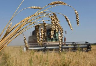 Uzbekistan reveals priorities for agriculture dev’t for 2021