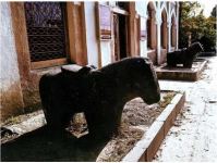 Армяне превратили в свинарник святилища и мечети в Лачыне - историк (ФОТО)