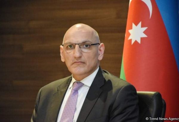 Азербайджан обратился в Европейский суд - помощник Первого вице-президента