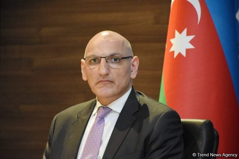 Azerbaijan appeals to European Court on Human Rights - aide to First VP of Azerbaijan