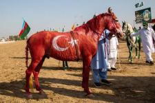 В Хушабе прошел Фестиваль коней, окрашенных в цвета флагов Азербайджана, Турции и Пакистана (ВИДЕО, ФОТО)