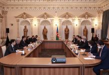 Head of Presidency for Turks Abroad and Related Communuties visited the State Committee (PHOTO)
