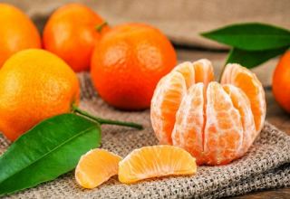 Uzbekistan’s import of tangerines down in 11M2020