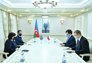 Политические и экономические отношения между Азербайджаном и Чехией находятся на высоком уровне - спикер Милли Меджлиса