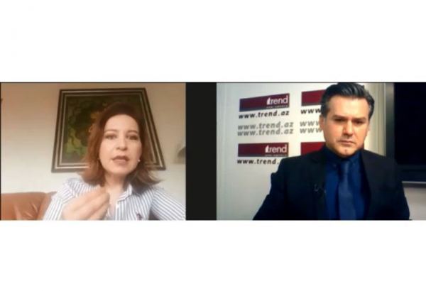 Experts talk West's double standards towards Azerbaijan, Turkey via teleconference by Trend News Agency (VIDEO)