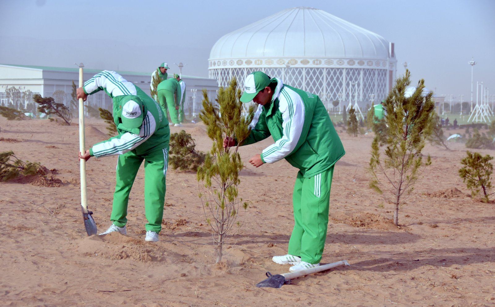 В 2020 году в Туркменистане будут посажены 25 миллионов саженцев деревьев, в честь 25-летия нейтралитета страны (ФОТО)