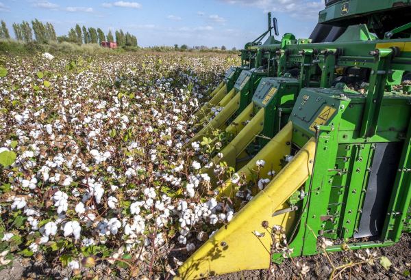 Cotton combines of new generation tested in Azerbaijan’s Goranboy