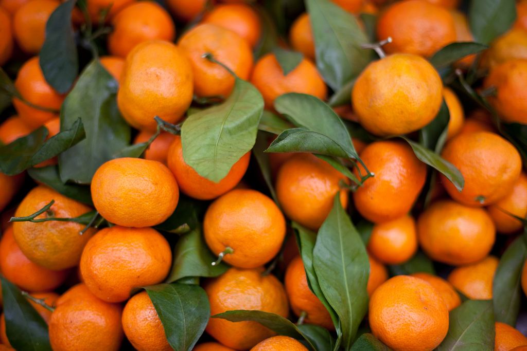 Georgia reveals volume of exported tangerines