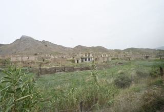 Армяне, уходя из освобожденных от оккупации районов Азербайджана, оставляют после себя  руины - депутат