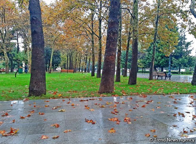 Завтра в Баку пасмурно, местами пройдут дожди