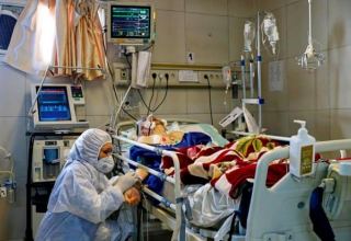 В Иране за последние сутки выявлено свыше 50 случаев заражения коронавирусом
