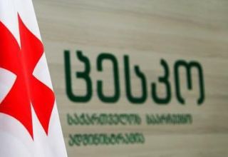ЦИК Грузии: 12 партий получат госфинансирование