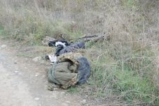 Армяне использовали в боях в Карабахе ракетомёты, применяемые террористами (ФОТО)