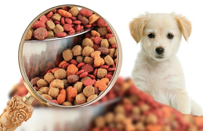 EU allows import of pet food from Georgia