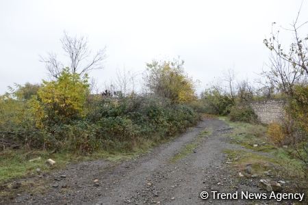 В Физули не осталось ни одного целого здания (ФОТО)