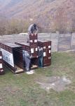 В Азербайджан привезены еще пять зубров (ФОТО/ВИДЕО)