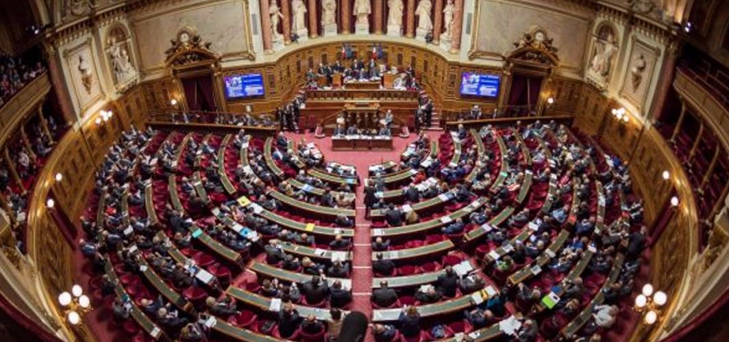 French Senate should be renamed Senate of Armenian Diaspora of France - Russian expert