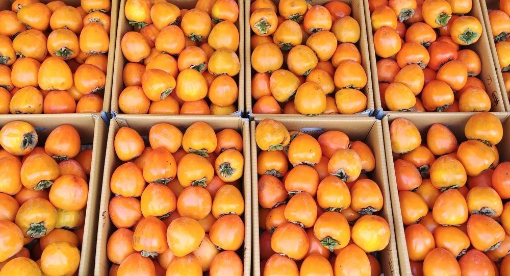 Azerbaijan reduces persimmon exports
