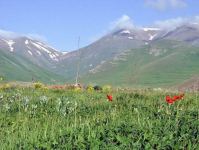 Трехцветный флаг развевается на всех азербайджанских землях - Гусейн Алтыналан