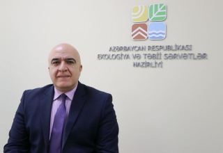 Контракт с Beta может быть расторгнут – глава Госслужбы экобезопасности Азербайджана