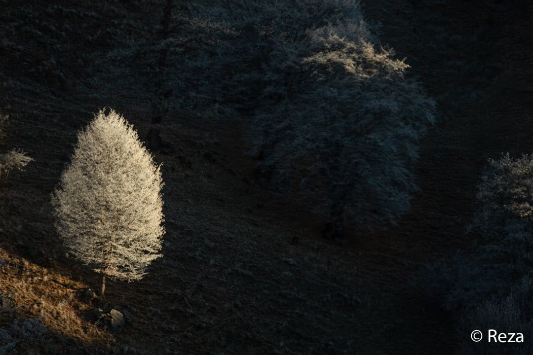 Неописуемая красота Кельбаджара (ФОТО/ВИДЕО)