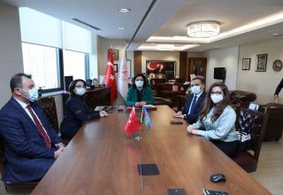 Азербайджан и Турция обсудили  возможности совместного приобретения вакцины от коронавируса (ФОТО)