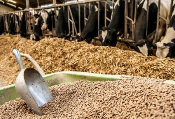 Iranian Agriculture Ministry names prices for animal feed