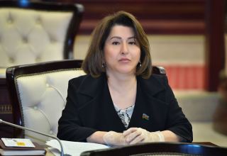 Unfair approach undermines credibility of COVAX - Azerbaijani MP