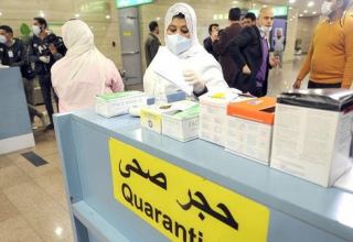 Минздрав Египта считает, что в стране есть новый штамм коронавируса