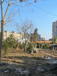 Bakıdakı bu parkın 70 faizi meşə zonası olacaq (FOTO)