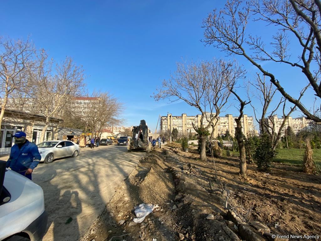 Bakıdakı bu parkın 70 faizi meşə zonası olacaq (FOTO)