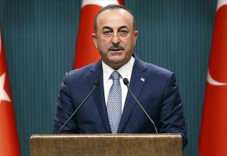 Turkish FM urges Iran to transparently investigate terrorist attack on Azerbaijani embassy