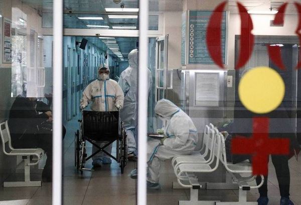 В России выявили 24 439 случаев заражения коронавирусом за сутки