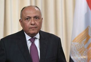 Глава МИД Египта посетит саммит стран Персидского залива