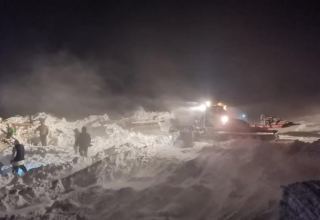 Спасатели обнаружили тело малолетнего ребенка, погибшего в результате схода лавины в России