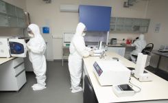 Göygöl Regional Sınaq Laboratoriyasında bruselyozun müayinəsi üzrə qabaqcıl texnologiya tətbiq edilir (FOTO)