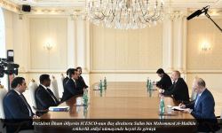 Президент Ильхам Алиев принял делегацию ИСЕСКО (ФОТО/ВИДЕО) - Gallery Thumbnail