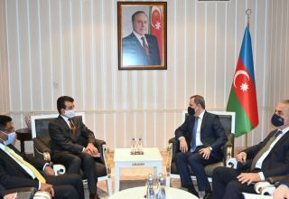 Azerbaijani FM meets with ICESCO Director General