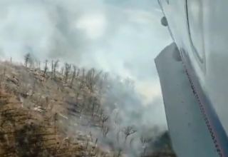 Продолжается тушение пожара в Гирканском национальном парке в Астаре
