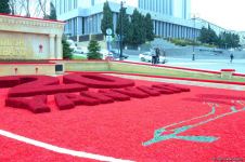 Preparatory work under completion in Azerbaijan’s Alley of Martyrs (PHOTO)