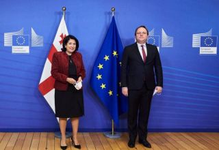Georgian President meets EU Commissioner for Neighborhood and Enlargement